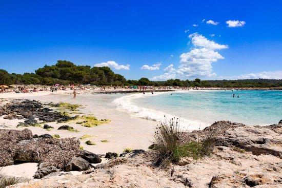 Playa Arenal De Son Saura