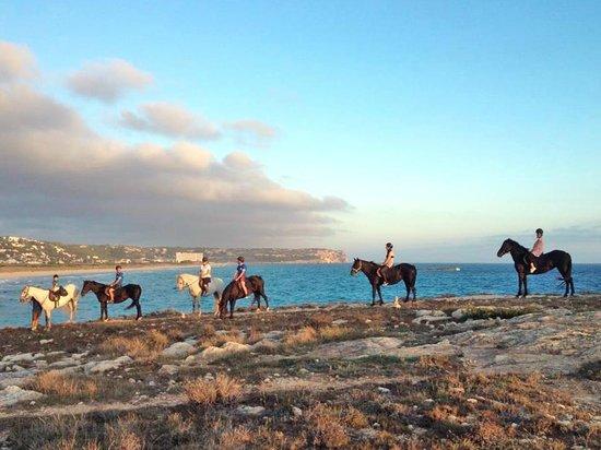 Son Bou Rutas A Caballo