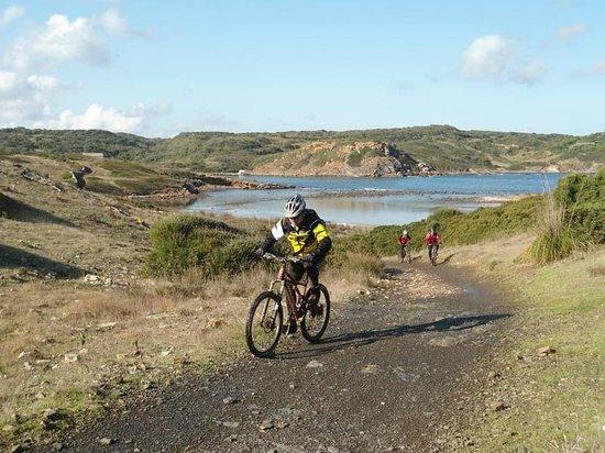 Mister Bike Tours