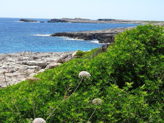 Arenal De Son Saura