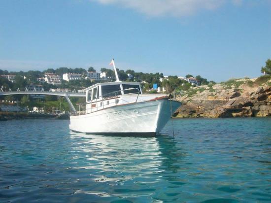 Libermare