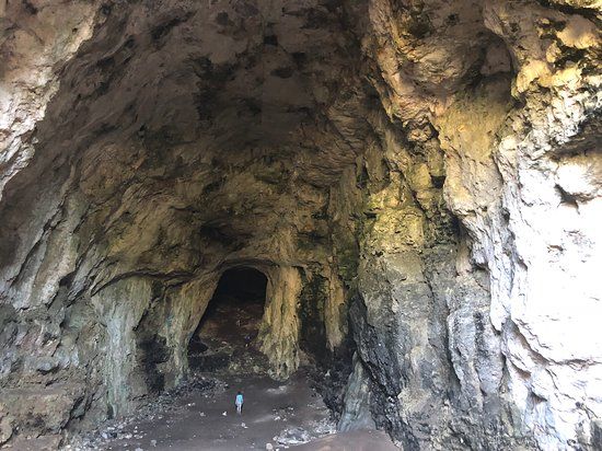 Cova des Coloms